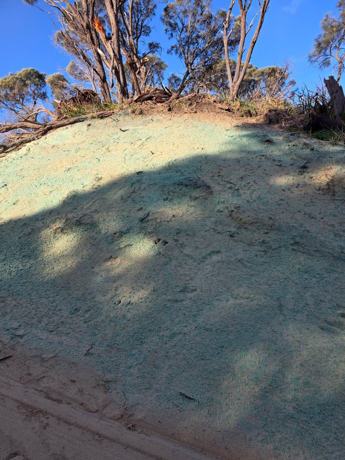 erosion-control-after-photo.jpg