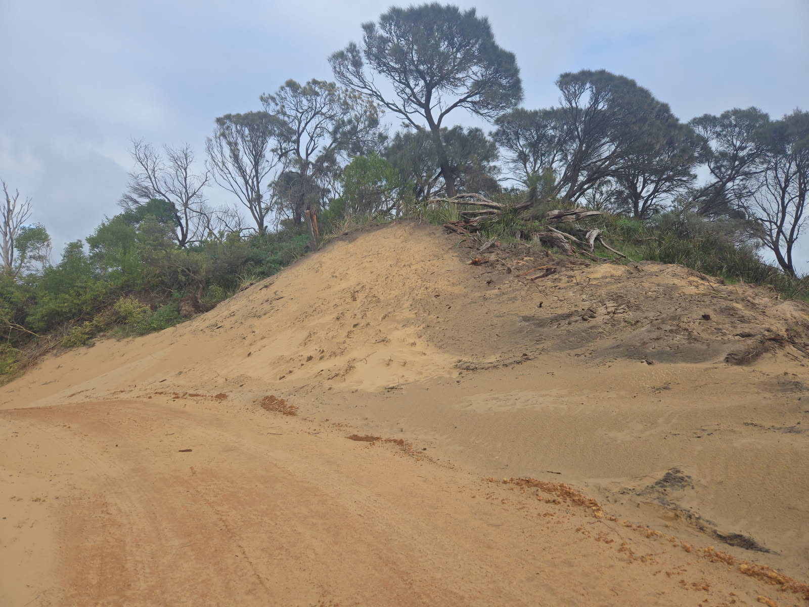 erosion-control-photo-2.JPG