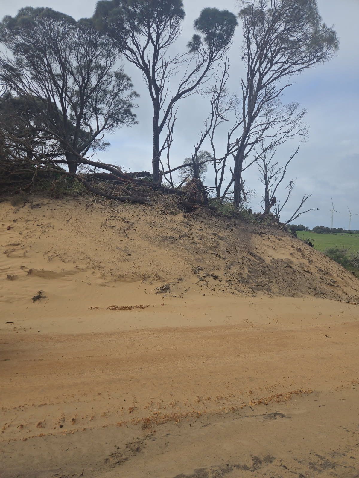 erosion-control-photo.JPG