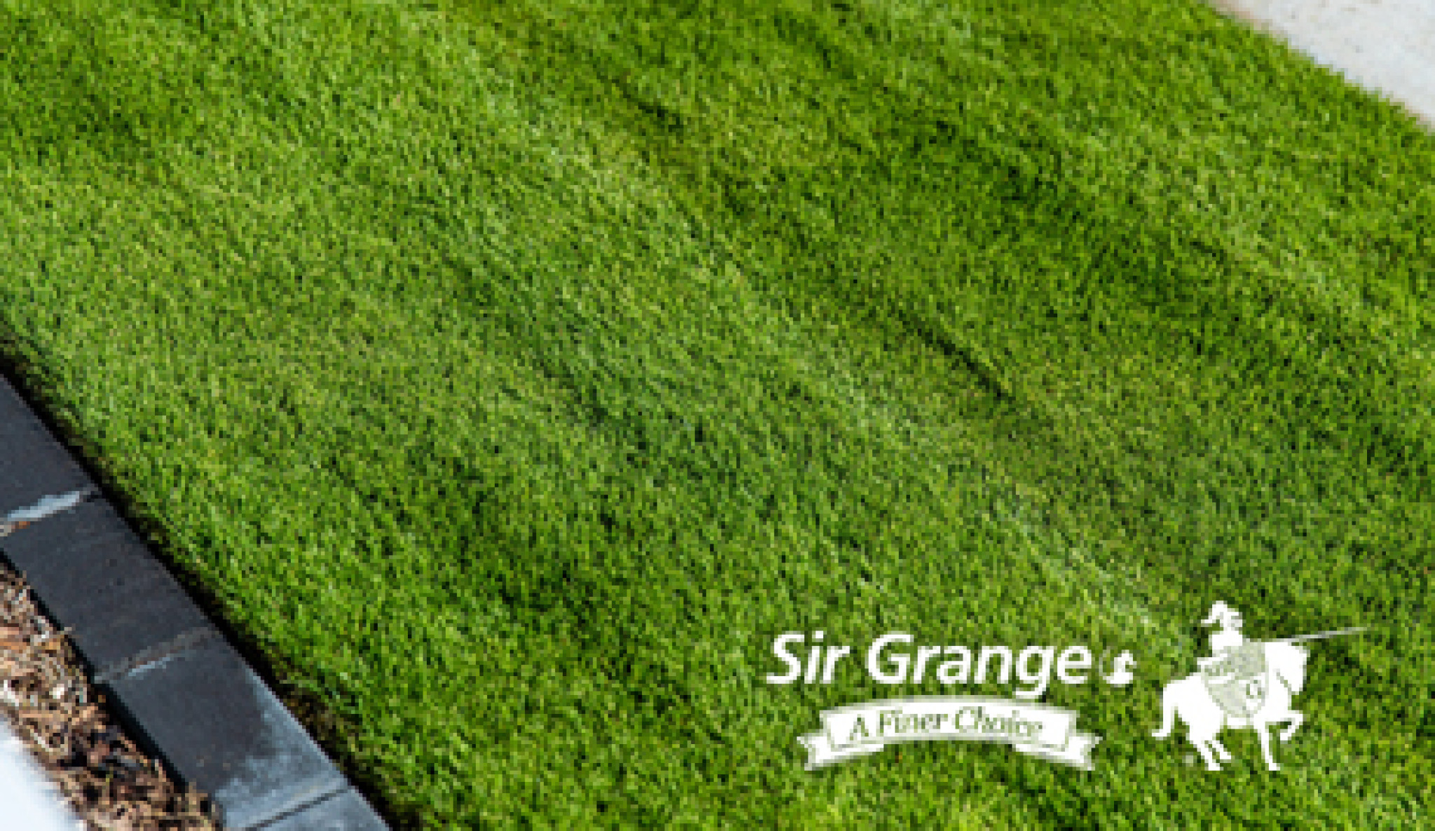 sir-grange-zoysia.jpg